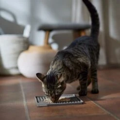 Frisco Non-skid Square Silicone Dog & Cat Lick Mat -Chewy 363402 PT3. AC SS1800 V1665170734