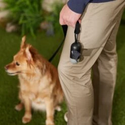 Frisco Dog Poop Bag Dispenser, 15 Count -Chewy 363846 PT5. AC SS1800 V1669100746