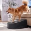 Frisco Plastic Easy Step Cat & Dog Stair -Chewy 542390 MAIN. AC SS1800 V1671829661
