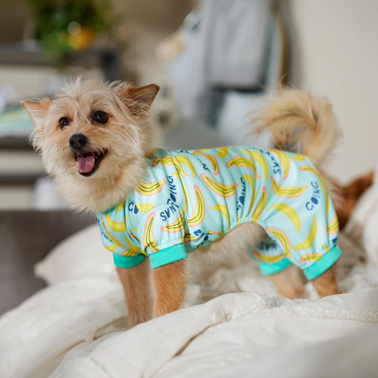 Frisco Go Bananas Dog & Cat Jersey PJs 7 Frisco Go Bananas Dog & Cat Jersey PJs - Image 5