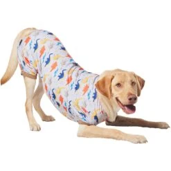 Frisco Dinosaur Dog & Cat Jersey PJs 10 Frisco Dinosaur Dog & Cat Jersey PJs -Chewy 609062 PT4. AC SS1800 V1681488688
