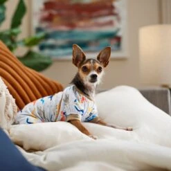 Frisco Dinosaur Dog & Cat Jersey PJs 12 Frisco Dinosaur Dog & Cat Jersey PJs -Chewy 609062 PT6. AC SS1800 V1676643314