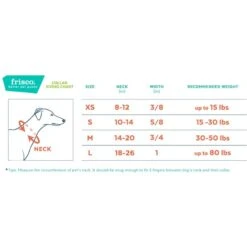 Frisco Solid Nylon Dog Leash + 4 Items -Chewy 623766 PT6. AC SS1800 V1662739135