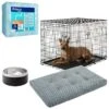 Frisco Insulated Two-Toned Non-Skid Stainless Steel Dog & Cat Bowl + 3 Items -Chewy 630886 MAIN. AC SS1800 V1681228787