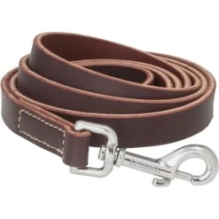 Frisco Top Grain Leather Leash + 4 Items -Chewy 630958 PT3. AC SS1800 V1662739527