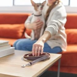 Frisco Top Grain Leather Leash + 4 Items -Chewy 630958 PT4. AC SS1800 V1662742186