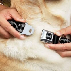 Frisco Bat Wings Dog & Cat Costume & Buckle-Down Batman Shield Polyester Dog Collar -Chewy 638566 PT6. AC SS1800 V1663254111