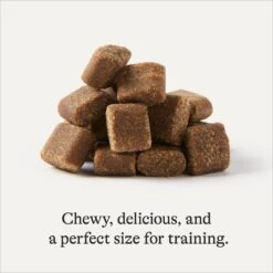 Frisco Giant Charcoal Dog Training & Potty Pads & American Journey Beef Recipe Grain-Free Soft & Chewy Training Bits Dog Treats -Chewy 678566 PT7. AC SS1800 V1681825758