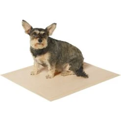 Frisco Large Eco-Conscious Dog Training & Potty Pads & American Journey Peanut Butter Recipe Grain-Free Oven Baked Crunchy Biscuit Dog Treats 14 Frisco Large Eco-Conscious Dog Training & Potty Pads & American Journey Peanut Butter Recipe Grain-Free Oven Baked Crunchy Biscuit Dog Treats -Chewy 678574 PT3. AC SS1800 V1667863365