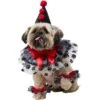 Frisco Clown Dog & Cat Costume Accessory 2 Frisco Clown Dog & Cat Costume Accessory -Chewy 706526 MAIN. AC SS1800 V1689350103