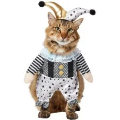 Frisco Front Walking Glitter Clown Dog & Cat Costume