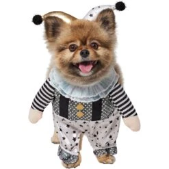 Frisco Front Walking Glitter Clown Dog & Cat Costume -Chewy 707542 PT2. AC SS1800 V1689351699