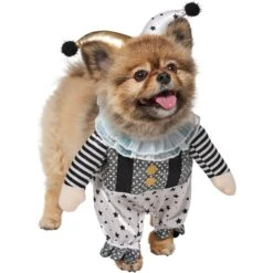 Frisco Front Walking Glitter Clown Dog & Cat Costume -Chewy 707542 PT3. AC SS1800 V1689278296