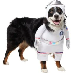 Frisco Front Walking LED Astronaut Dog & Cat Costume -Chewy 707630 PT3. AC SS1800 V1689351047