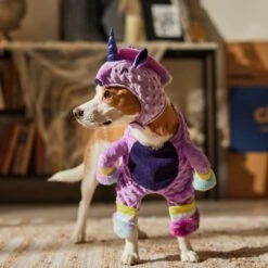 Frisco Front Walking Unicorn Dog & Cat Costume -Chewy 707678 PT7. AC SS1800 V1689355019