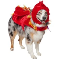 Frisco Flying Phoenix Dog & Cat Costume 12 Frisco Flying Phoenix Dog & Cat Costume -Chewy 708150 PT3. AC SS1800 V1691084928