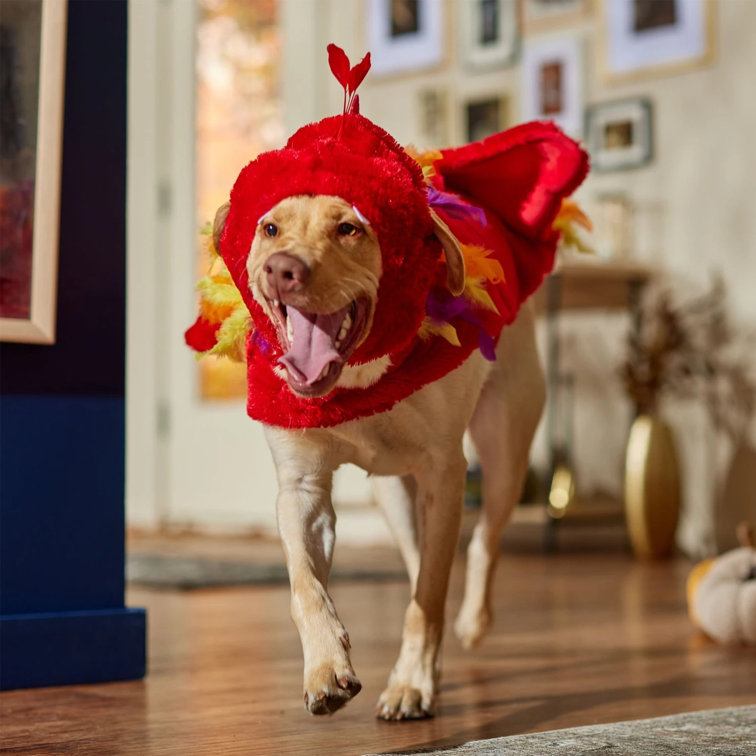 Frisco Flying Phoenix Dog & Cat Costume 9 Frisco Flying Phoenix Dog & Cat Costume - Image 7