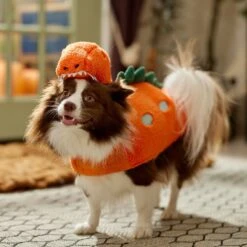 Frisco Furry Dinosaur Dog & Cat Costume -Chewy 708190 PT7. AC SS1800 V1689278373