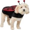 Frisco Glittered Ladybug Dog & Cat Costume 1 Frisco Glittered Ladybug Dog & Cat Costume -Chewy 708254 MAIN. AC SS1800 V1689277785