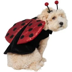 Frisco Glittered Ladybug Dog & Cat Costume 14 Frisco Glittered Ladybug Dog & Cat Costume -Chewy 708254 PT3. AC SS1800 V1689350986