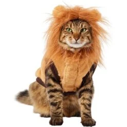 Frisco Lion Love Dog & Cat Costume 13 Frisco Lion Love Dog & Cat Costume -Chewy 708318 PT2. AC SS1800 V1689341486