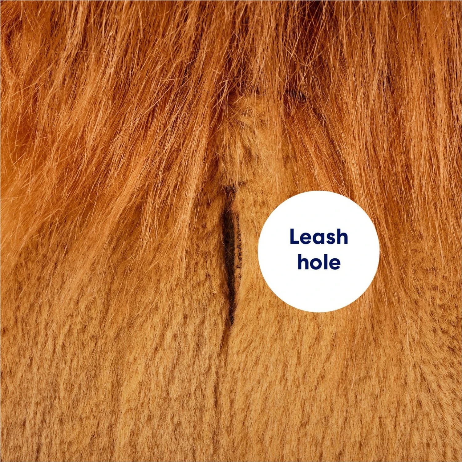 Frisco Lion Love Dog & Cat Costume 9 Frisco Lion Love Dog & Cat Costume - Image 7