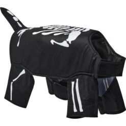 Frisco Glow In The Dark Skeleton Dog & Cat Costume -Chewy 709038 PT3. AC SS1800 V1689351051