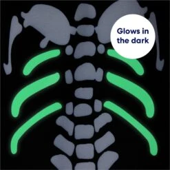 Frisco Glow In The Dark Skeleton Dog & Cat Costume -Chewy 709038 PT5. AC SS1800 V1689340910