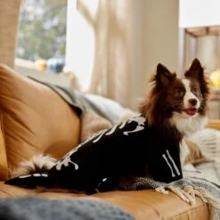 Frisco Glow In The Dark Skeleton Dog & Cat Costume -Chewy 709038 PT7. AC SS1800 V1689350988