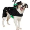 Frisco Witch Cauldron Ride-On Dog & Cat Costume -Chewy 709494 MAIN. AC SS1800 V1689270917