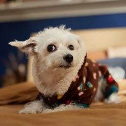 Frisco Cozy Plush Fleece Dog & Cat PJs, Mushrooms -Chewy 718950 PT7. AC SS1800 V1692378098