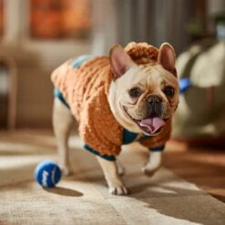 Frisco Wubby Textured Fleece Dog & Cat Hoodie W/ Pocket -Chewy 742510 PT7. AC SS1800 V1692377765