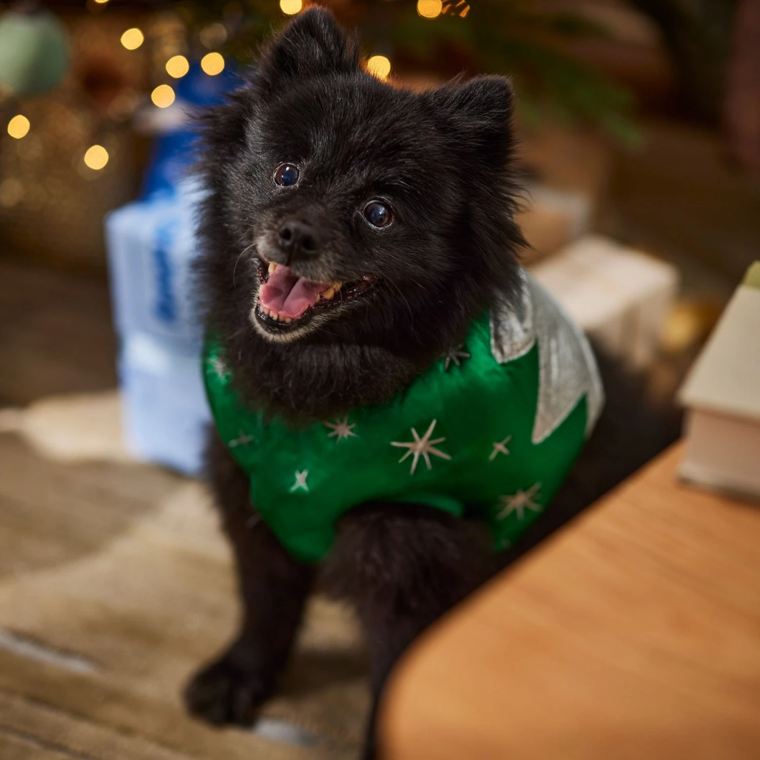 Frisco Ornament Dog & Cat Costume 9 Frisco Ornament Dog & Cat Costume - Image 7