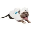 Frisco Polar Bear Ride-On Dog Costume -Chewy 747046 MAIN. AC SS1800 V1694813783