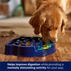 Frisco Interactive Dog Slow Feeder Bowl -Chewy 761238 PT2. AC SS1800 V1696254583