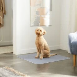 Skout's Honor Dog Pee Pad Refresher Spray, 28-oz Bottle & Frisco Washable Dog Potty Pads -Chewy 772958 PT8. AC SS1800 V1676752183