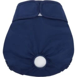 Skout's Honor Laundry Booster Stain & Odor Removal Additive, 32-oz Bottle & Frisco Washable Female Diaper -Chewy 773022 PT6. AC SS1800 V1676747356