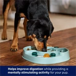 Frisco Interactive Dog & Cat Slow Feeder Bowl 10 Frisco Interactive Dog & Cat Slow Feeder Bowl -Chewy 807414 PT2. AC SS1800 V1696254614