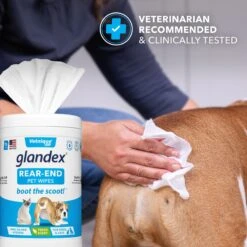 Vetnique Labs Glandex Wipes Rear End Anal Gland Cleansing & Deodorizing Hygienic Rear End Boot The Scoot Dog & Cat Wipes & Frisco Disposable Male Dog Wraps -Chewy 826454 PT4. AC SS1800 V1682018155