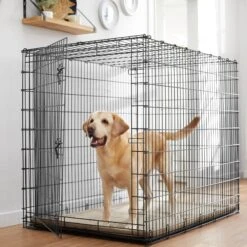 Frisco Heavy Duty Single Door Wire Dog Crate & MidWest Quiet Time Fleece Dog Crate Mat -Chewy 933510 PT1. AC SS1800 V1692305508