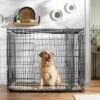 Frisco XX-Large Heavy Duty Double Door Wire Dog Crate, 54 Inch 2 Frisco XX-Large Heavy Duty Double Door Wire Dog Crate, 54 Inch -Chewy 97489 MAIN. AC SS1800 V1660404765