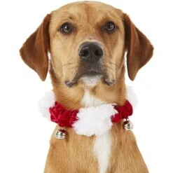 Frisco Holiday Dog & Cat Santa Hat, 1 Count & Frisco Jingle Bells Dog & Cat Holiday Collar With Bells, 1 Count -Chewy 986254 PT7. AC SS1800 V1698258115