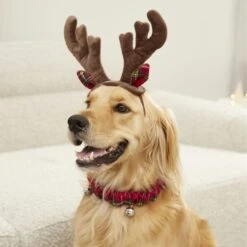 Frisco Jingle Bells Dog & Cat Holiday Collar With Bells, 1 Count & Frisco Holiday Antler Headband & Bell Collar Dog & Cat Costume -Chewy 986294 PT7. AC SS1800 V1698258404