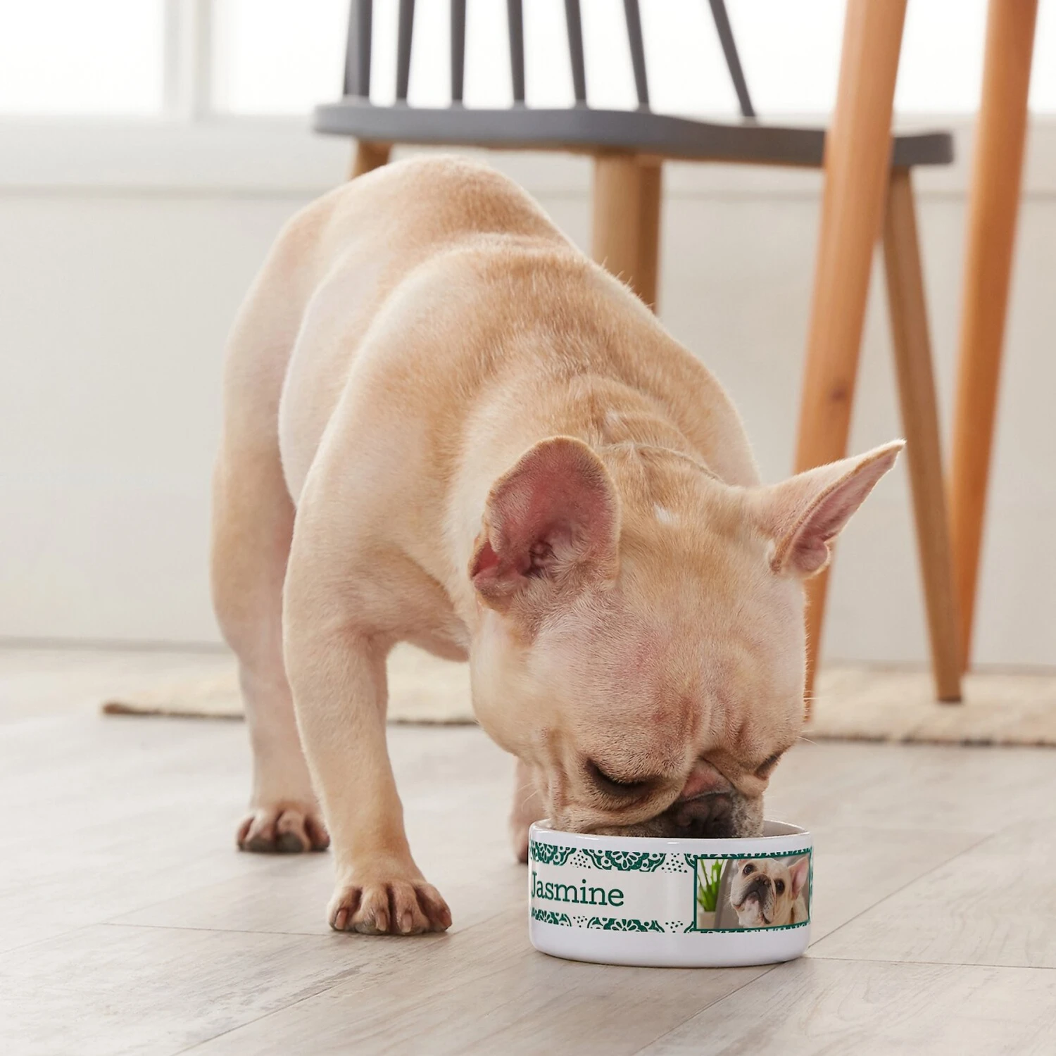 Chewy -Chewy 250833 PT3. AC SS1800 V1610758070